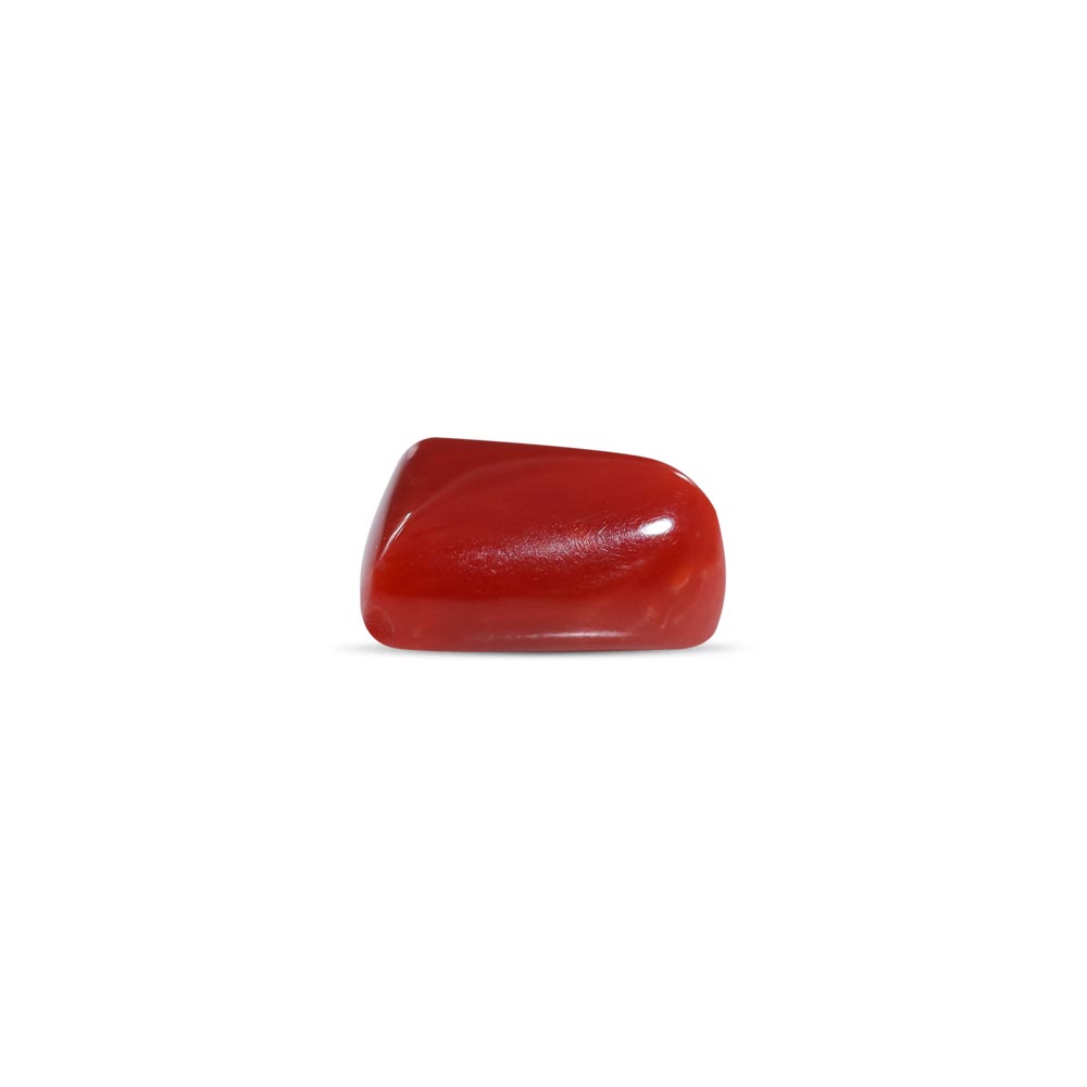 Red Coral - 7.55 Carat