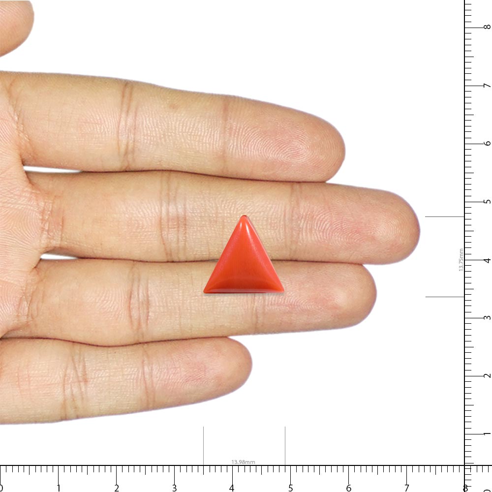 Red Coral - 7.65 Carat