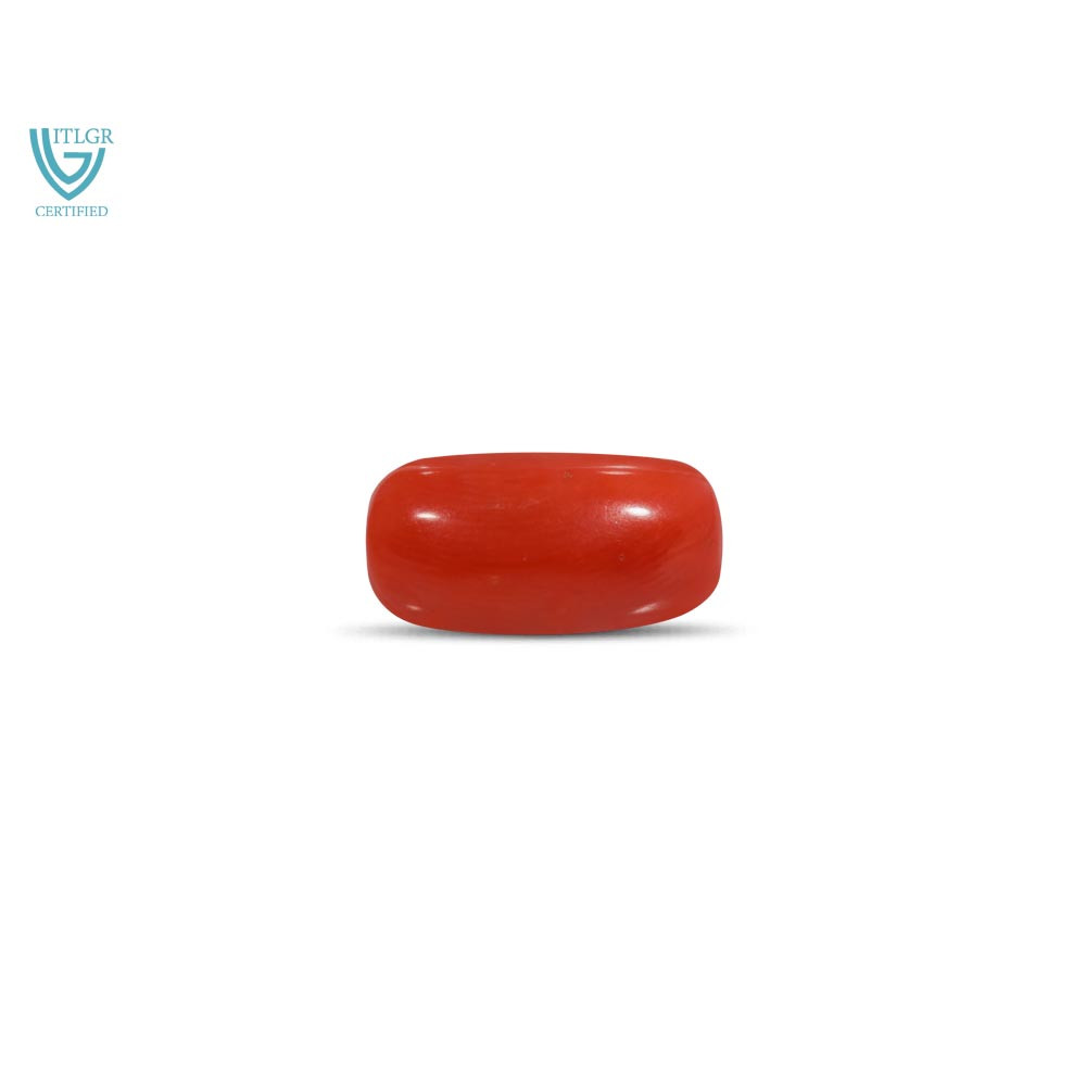 Red Coral - 7.67 Carat