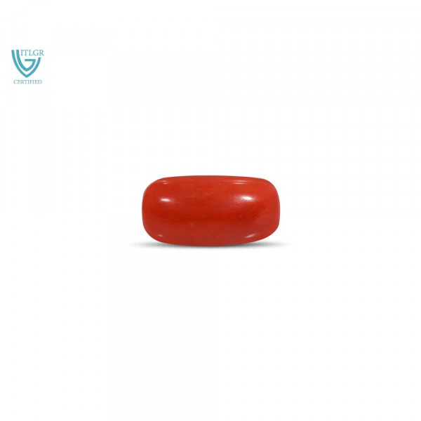 Red Coral - 7.67 Carat