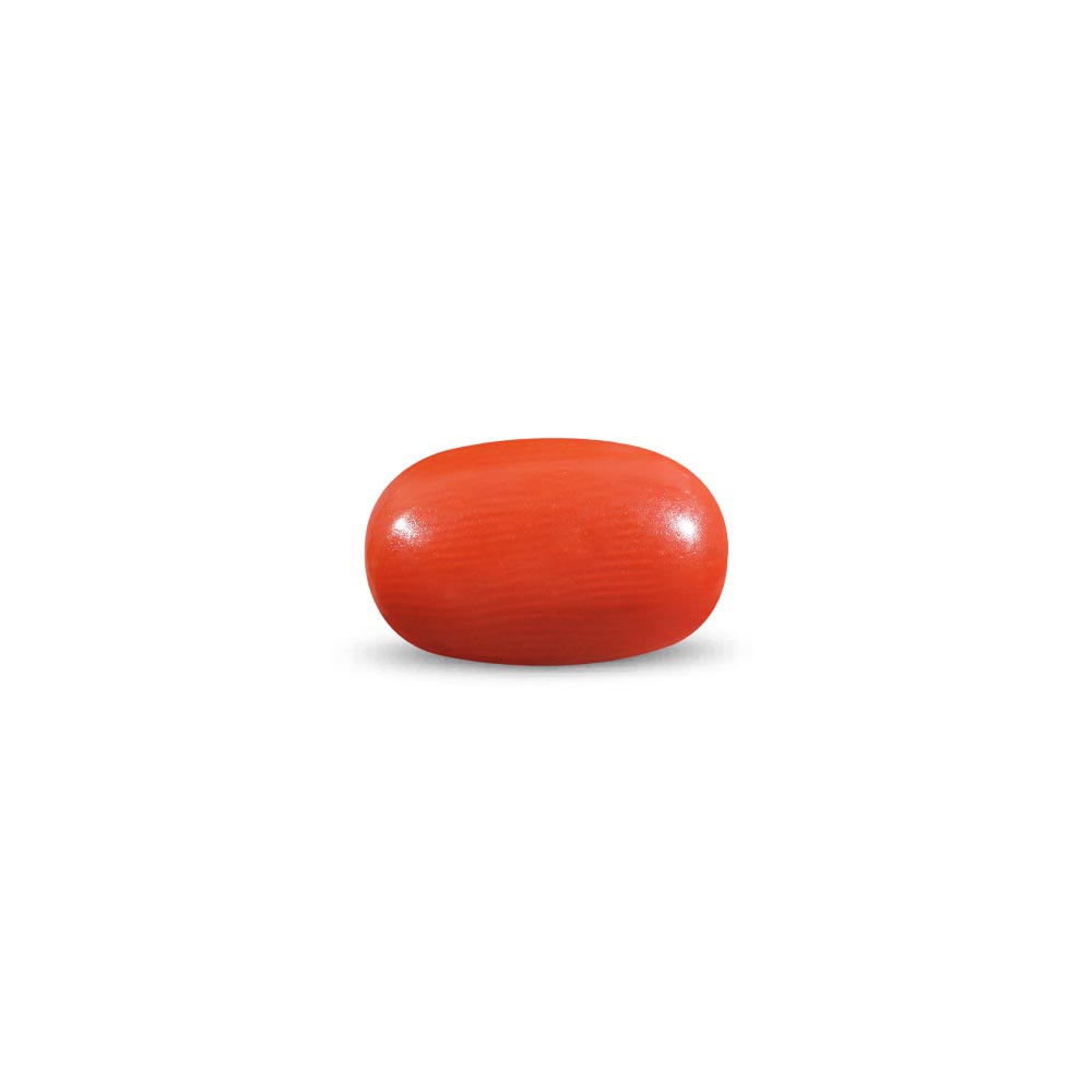 Red Coral - 7.7 Carat