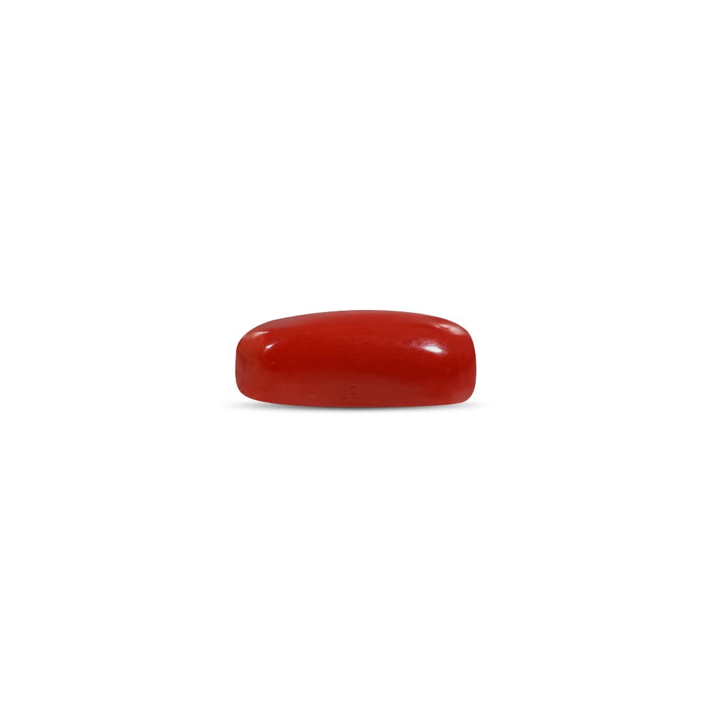 Red Coral - 7.7 Carat