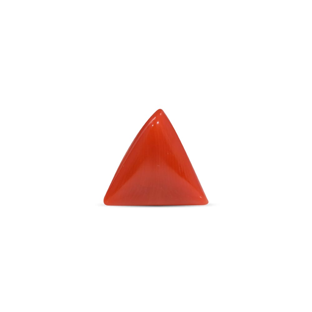 Red Coral - 7.71 Carat