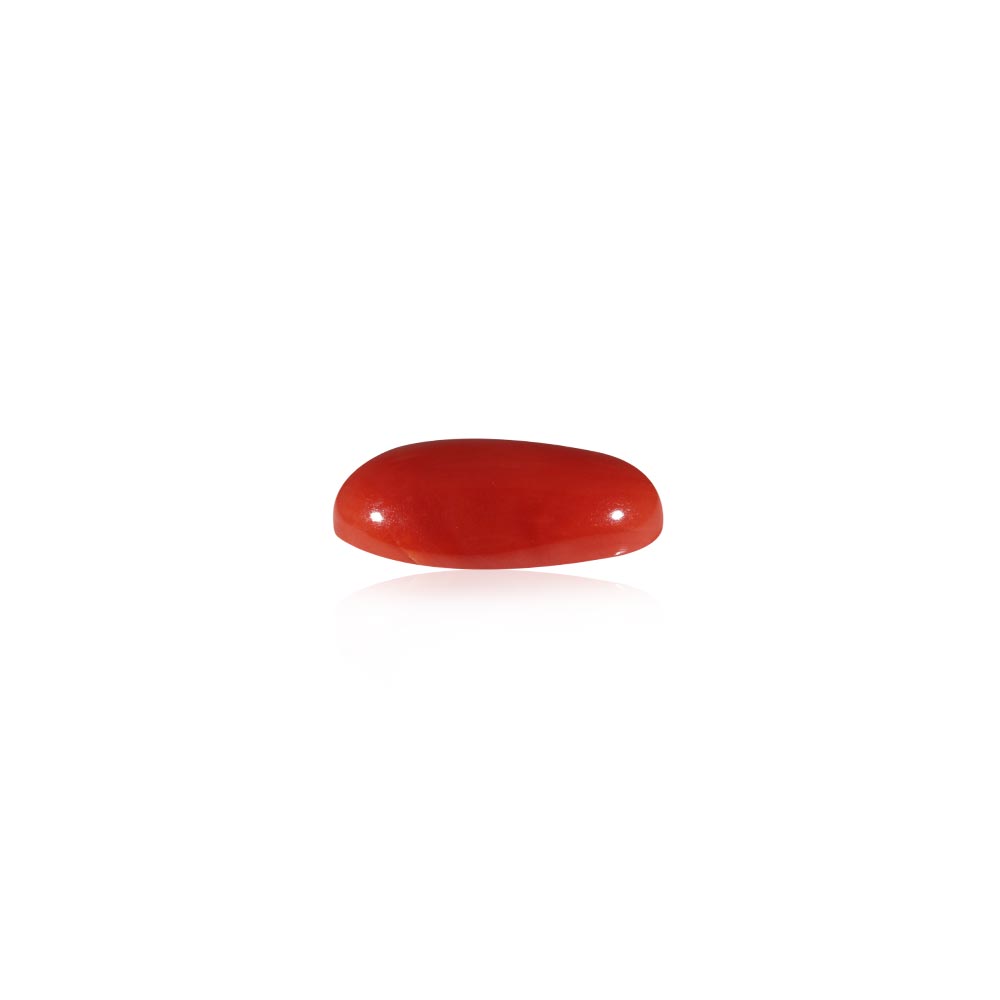 Red Coral - 7.71 Carat