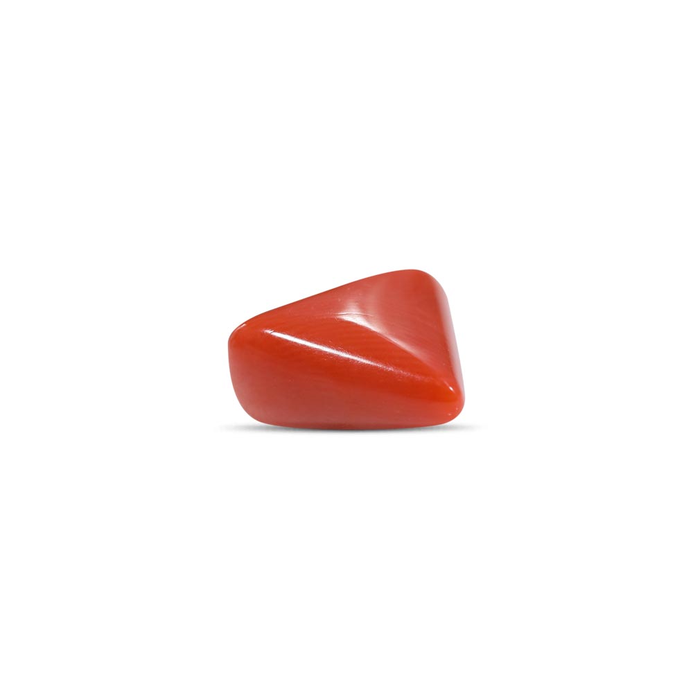 Red Coral - 7.71 Carat