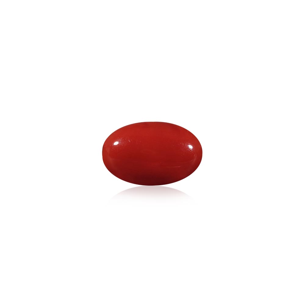Red Coral - 7.71 Carat