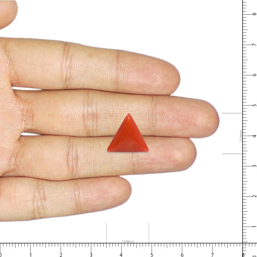 Red Coral - 7.8 Carat