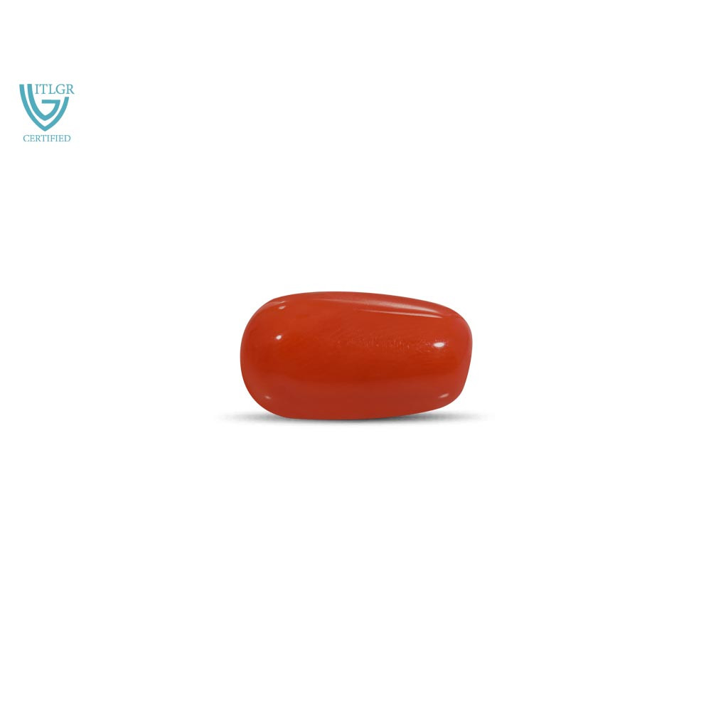 Red Coral - 7.80 Carat