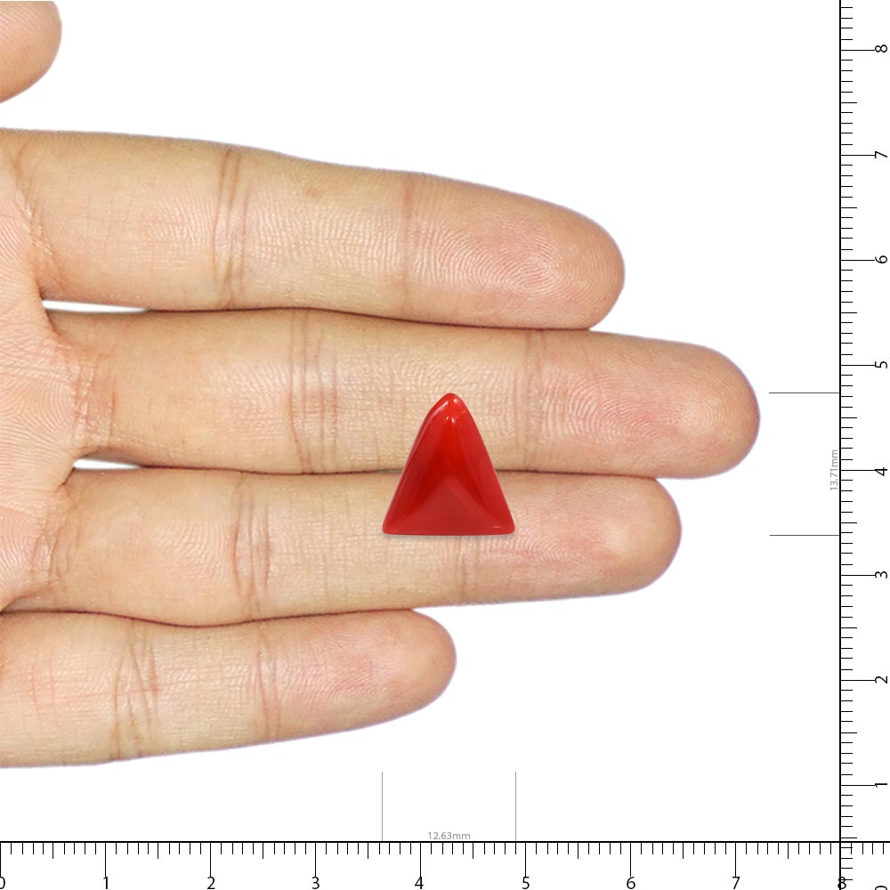 Red Coral - 7.83 Carat