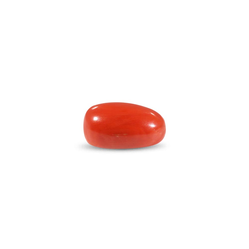 Red Coral - 7.84 Carat