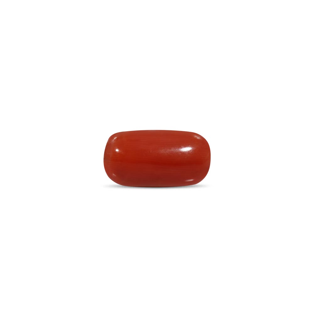 Red Coral - 8.1 Carat