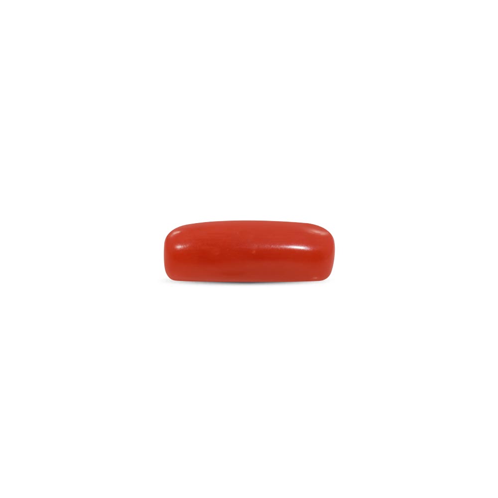 Red Coral - 8.15 Carat