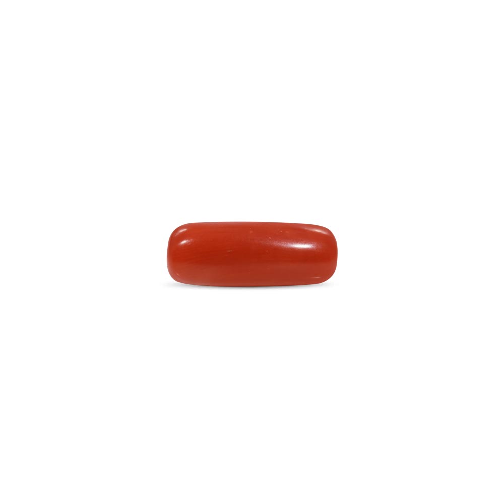 Red Coral - 8.15 Carat
