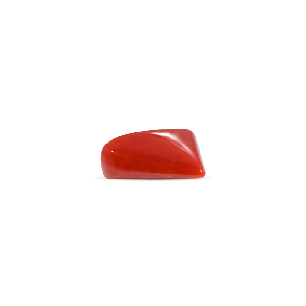 Red Coral - 8.16 Carat