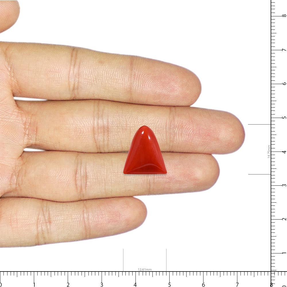 Red Coral - 8.16 Carat