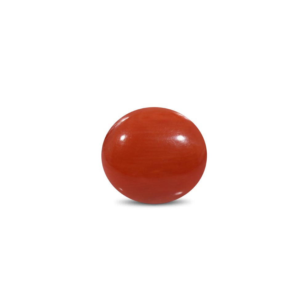 Red Coral - 8.19 Carat
