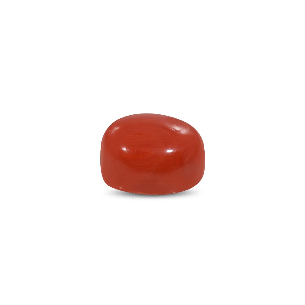 Red Coral - 8.19 Carat