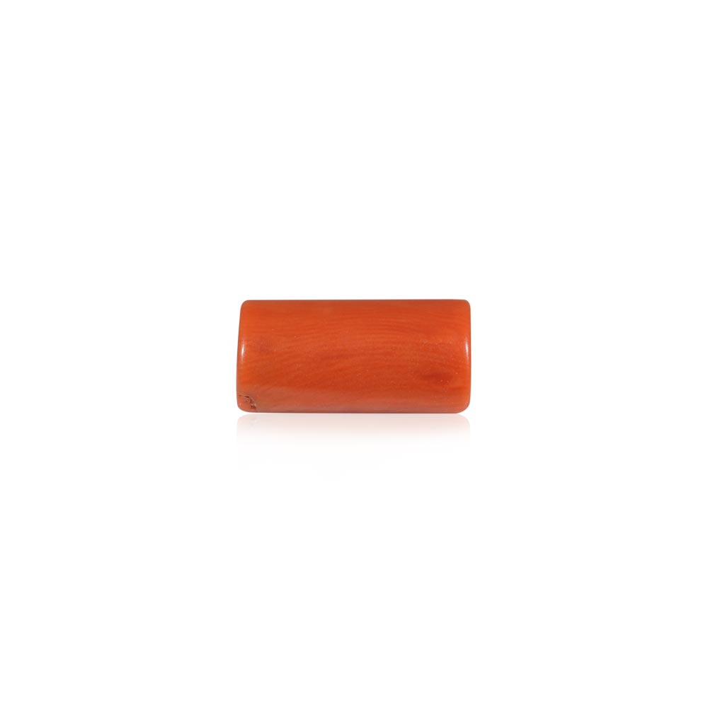 Red Coral - 8.22 Carat