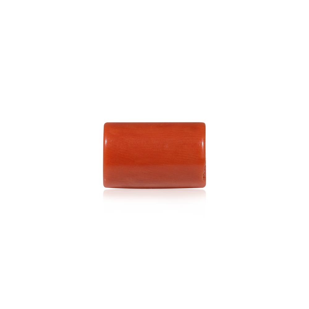 Red Coral - 8.22 Carat
