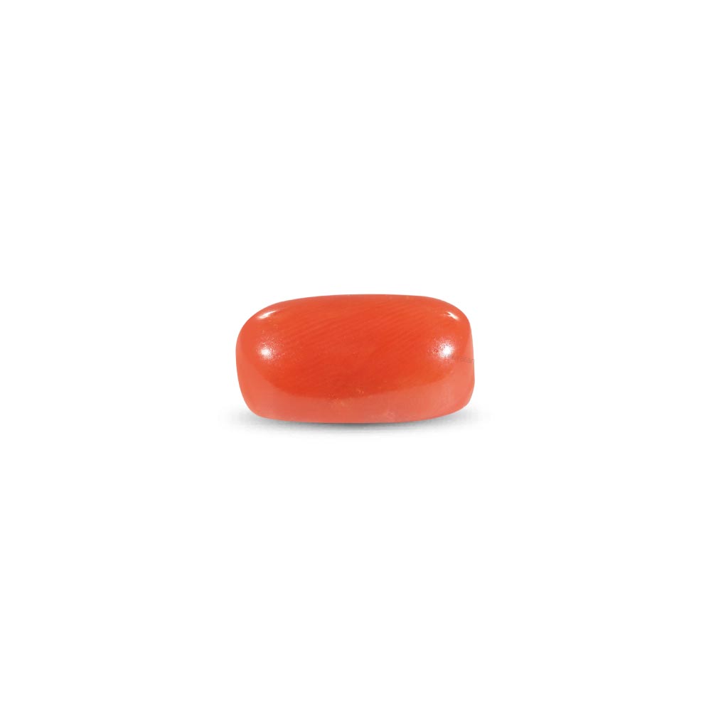 Red Coral - 8.23 Carat