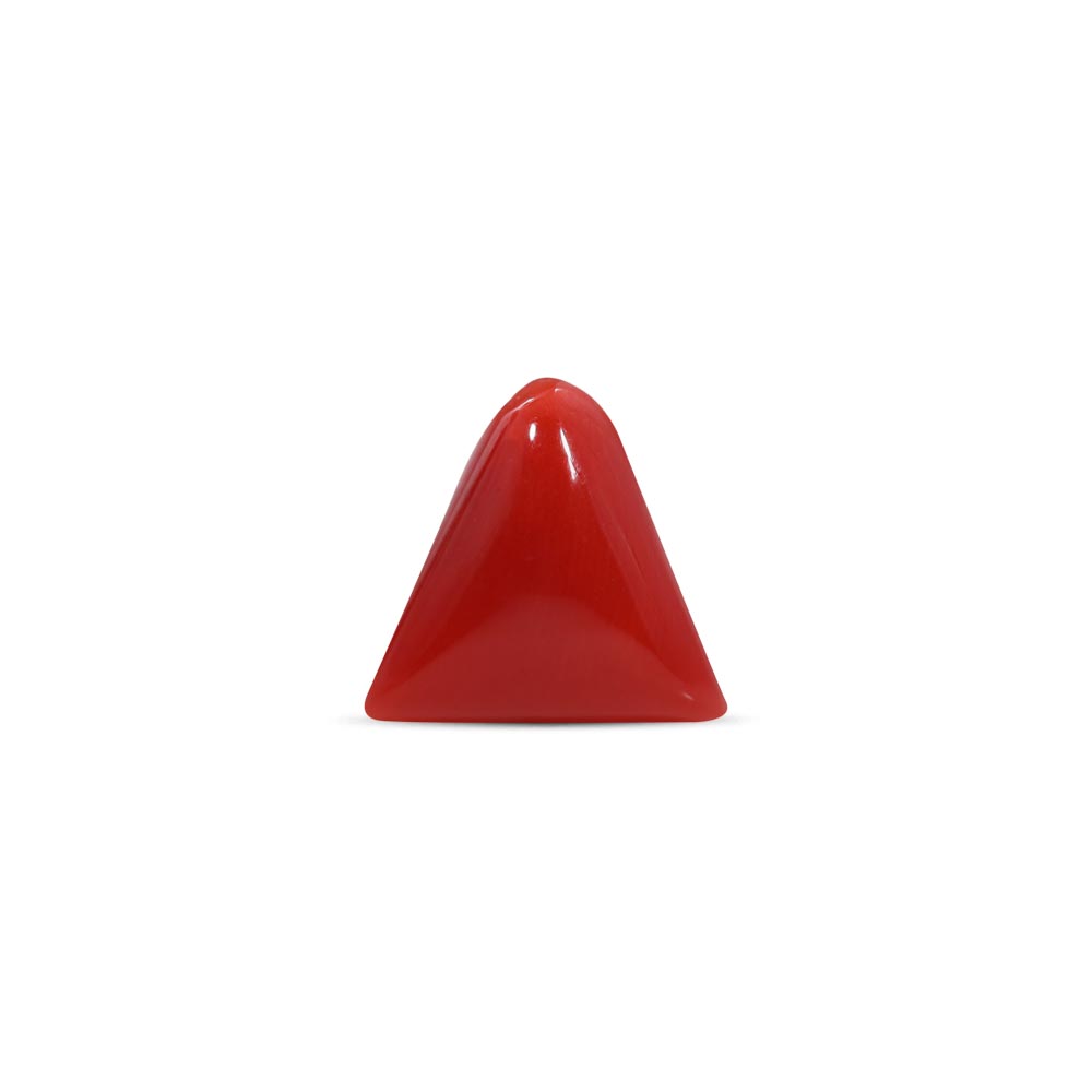 Red Coral - 8.27 Carat