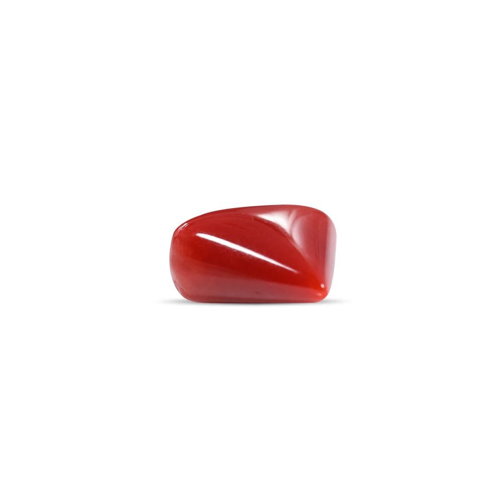 Red Coral - 8.27 Carat