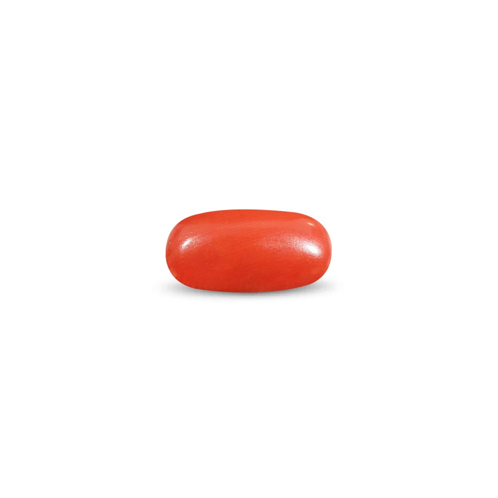 Red Coral - 8.28 Carat
