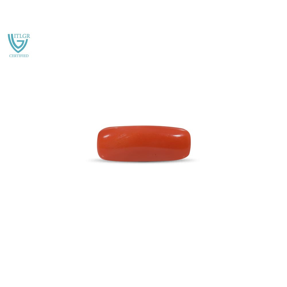 Red Coral - 8.29 Carat