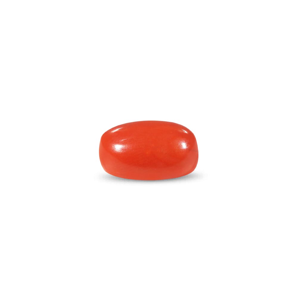 Red Coral - 8.37 Carat