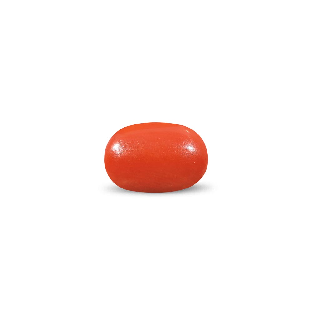 Red Coral - 8.37 Carat