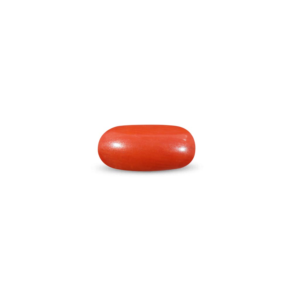 Red Coral - 8.42 Carat