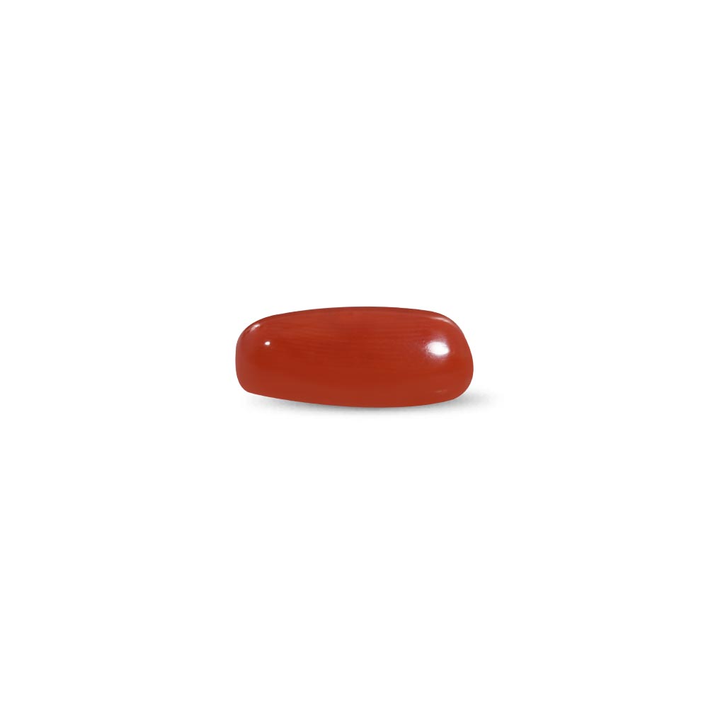 Red Coral - 8.46 Carat