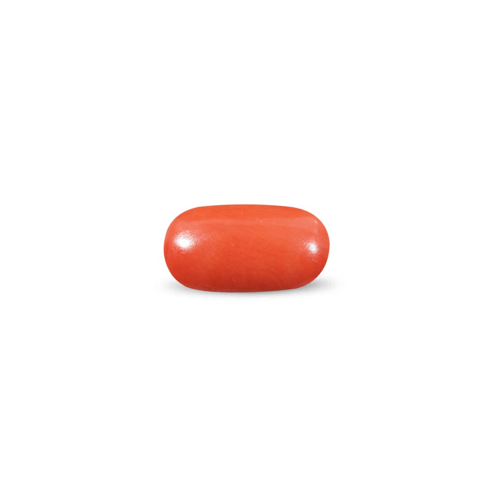 Red Coral - 8.49 Carat