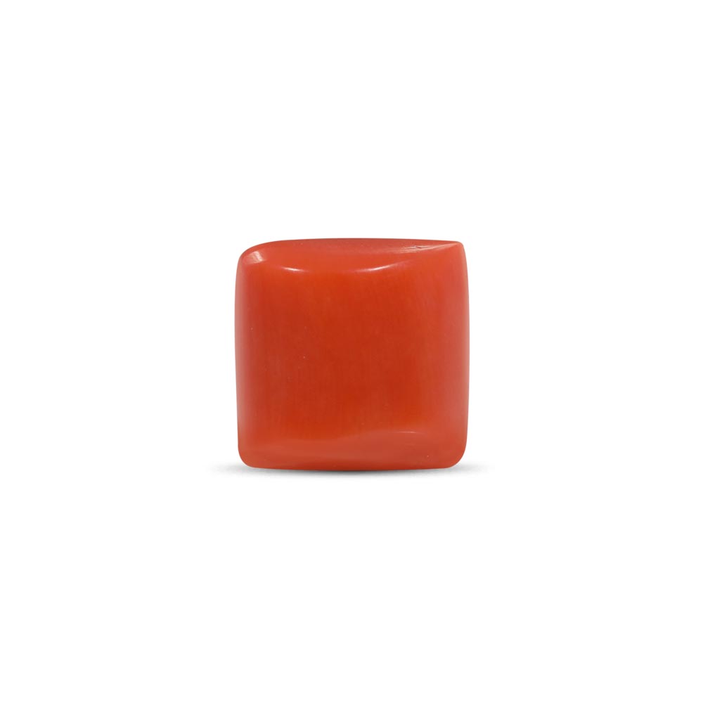 Red Coral - 8.65 Carat