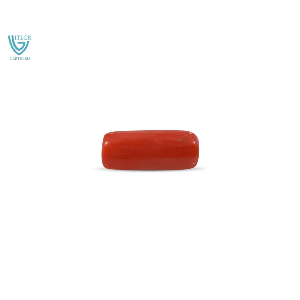 Red Coral - 8.68 Carat