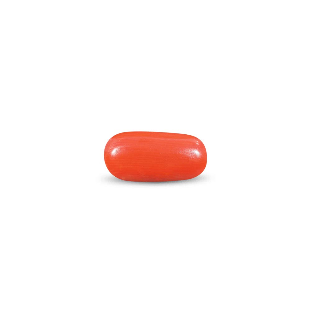 Red Coral - 8.72 Carat