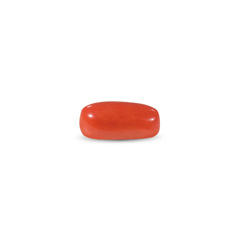 Red Coral - 8.72 Carat