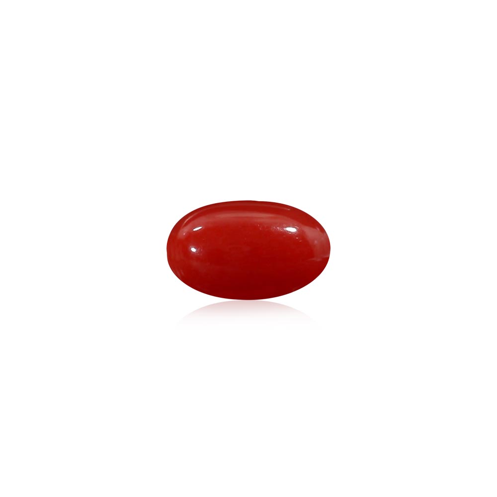 Red Coral - 8.74 Carat