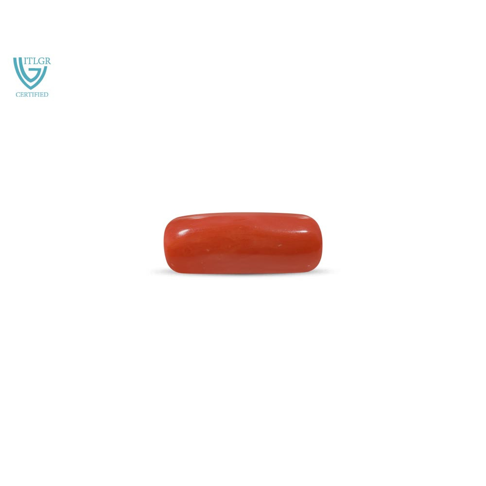 Red Coral - 8.75 Carat