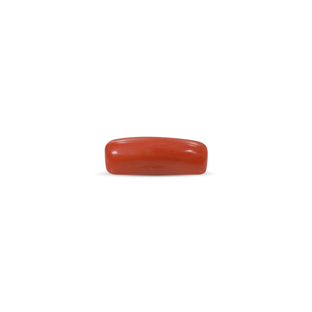 Red Coral - 8.75 Carat