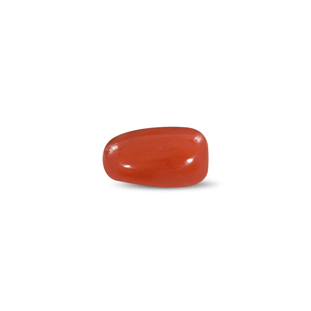 Red Coral - 8.77 Carat