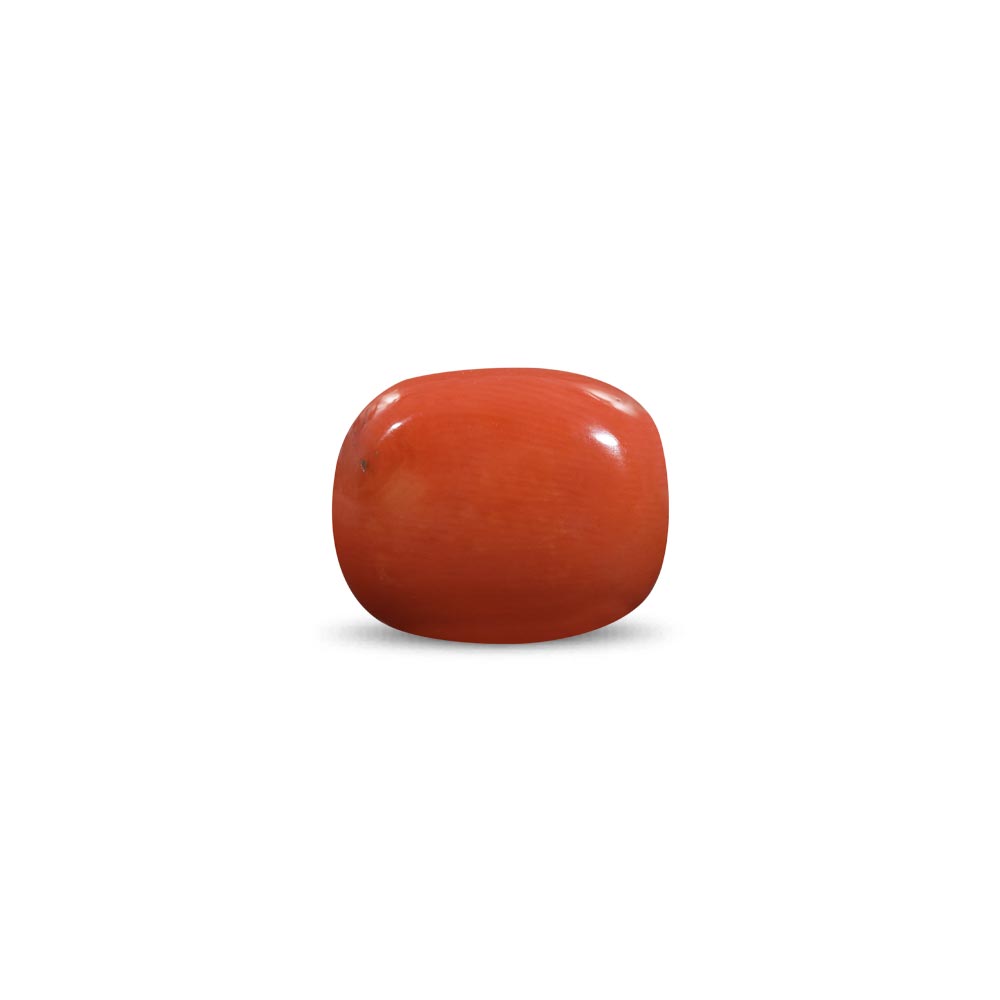 Red Coral - 8.77 Carat