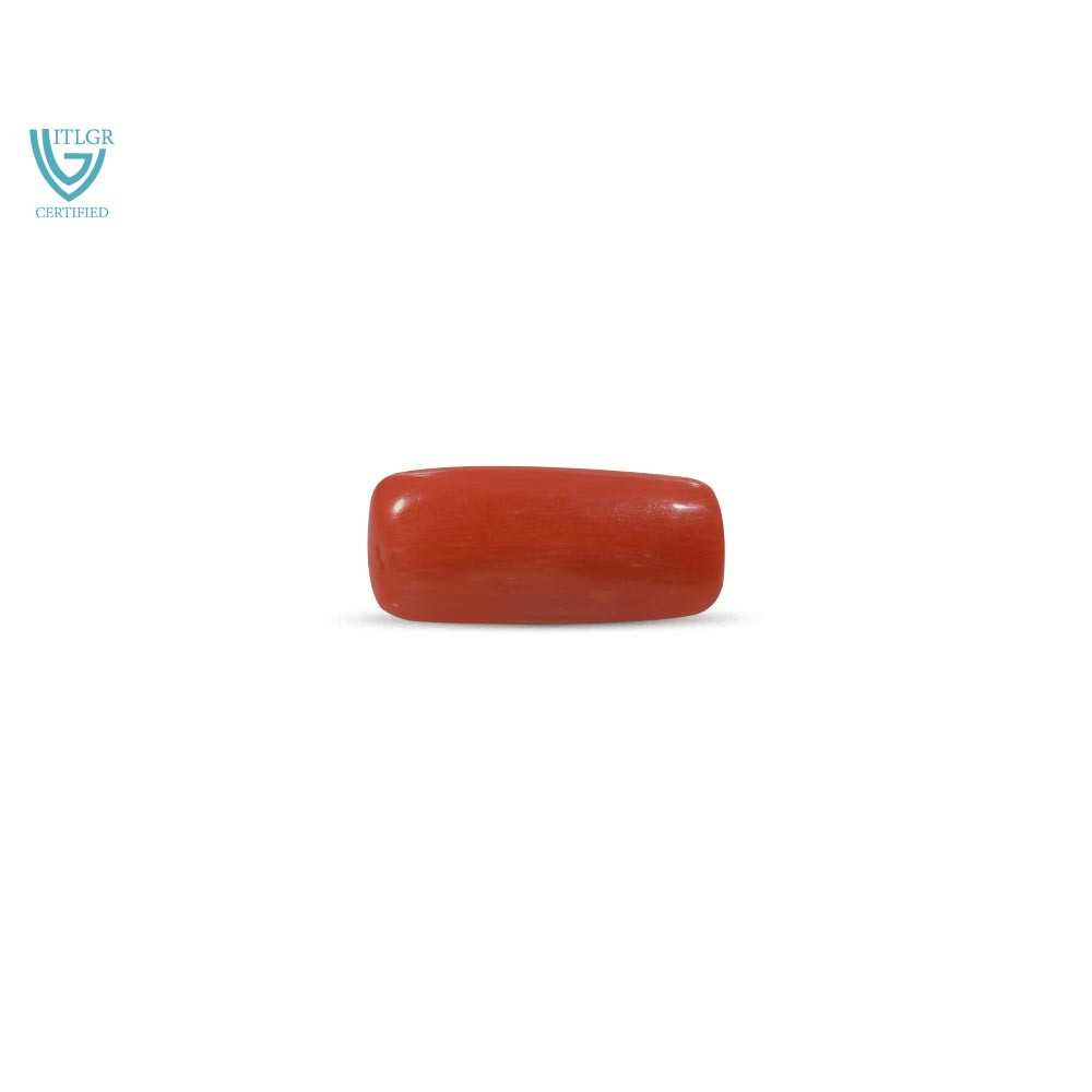 Red Coral - 8.79 Carat