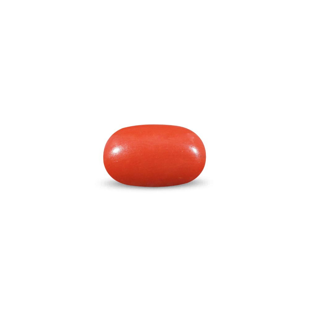Red Coral - 8.84 Carat