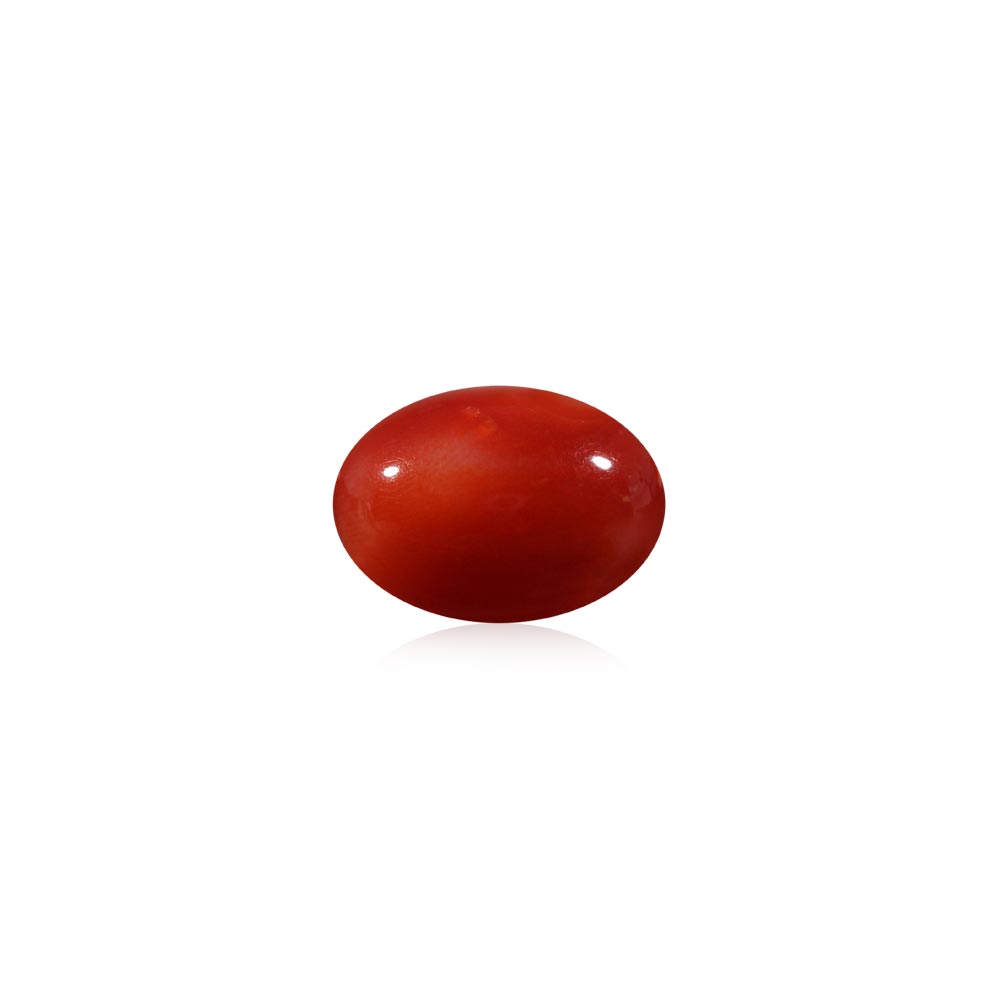 Red Coral - 8.84 Carat