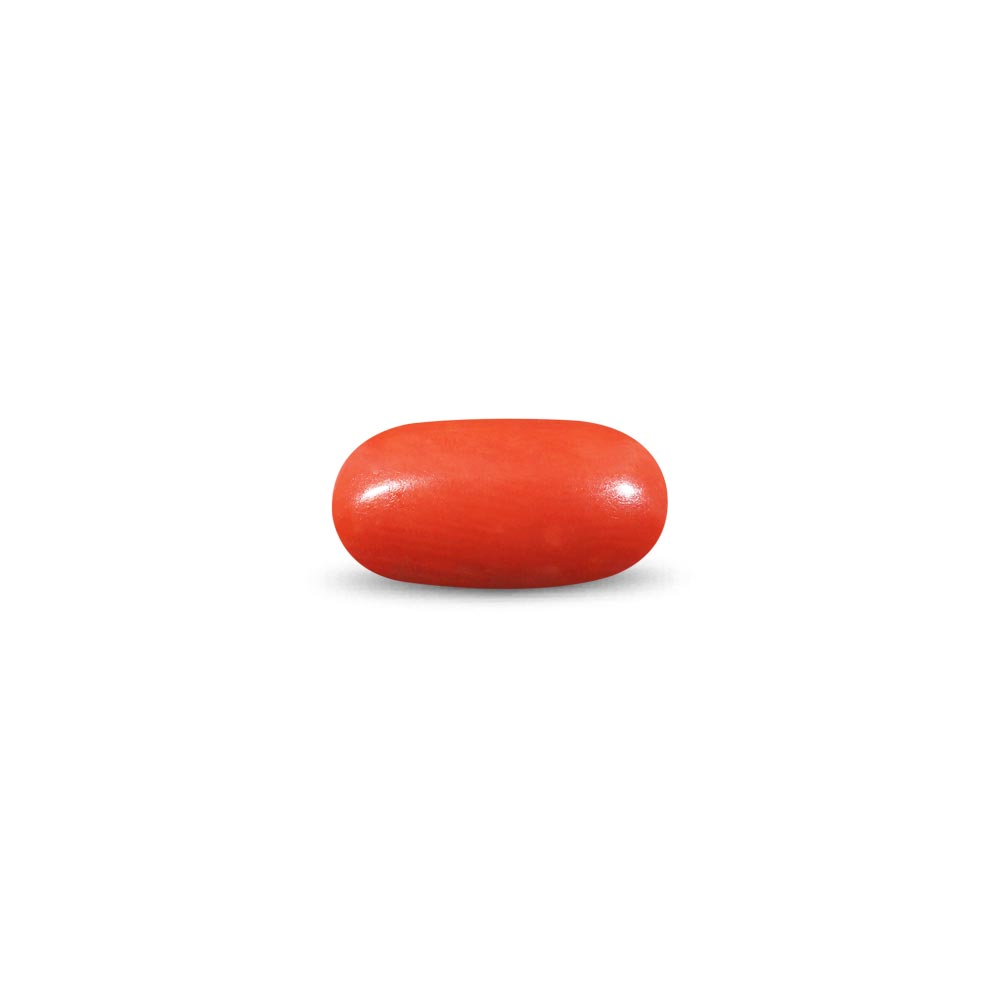 Red Coral - 8.84 Carat