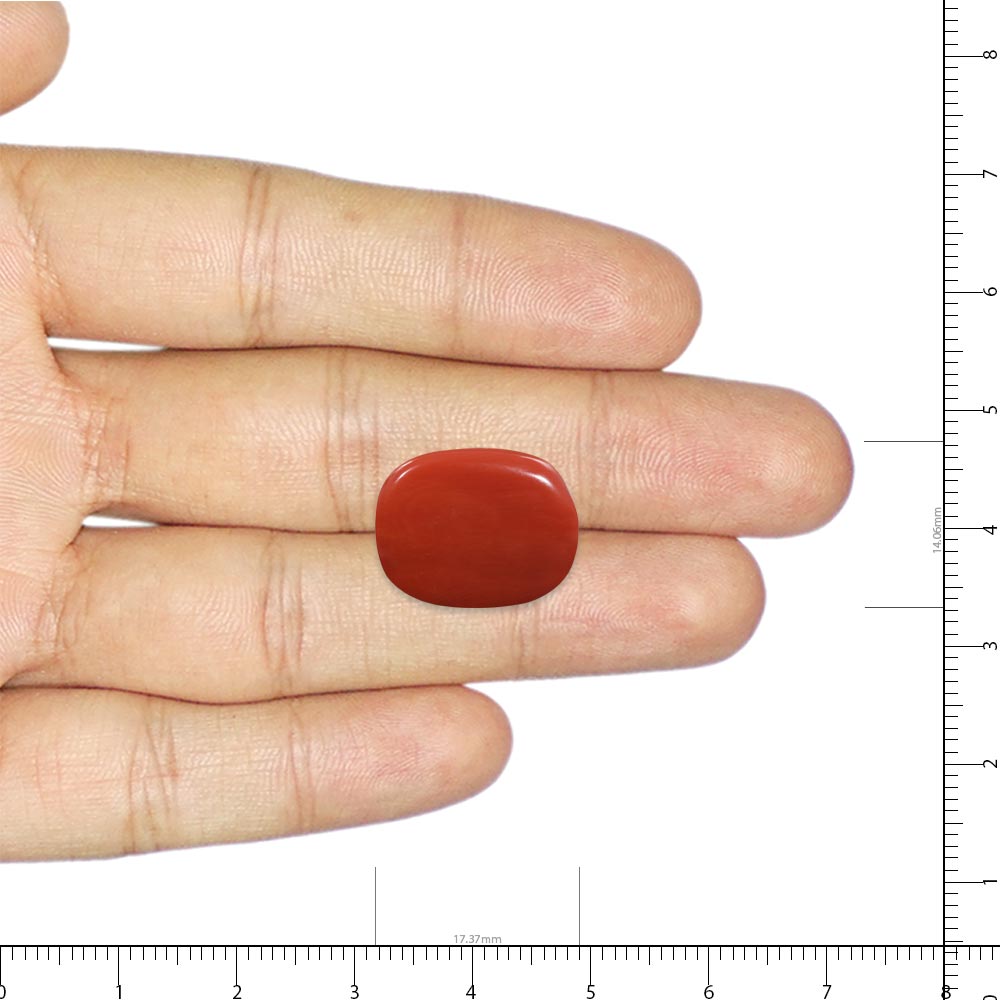 Red Coral - 8.84 Carat
