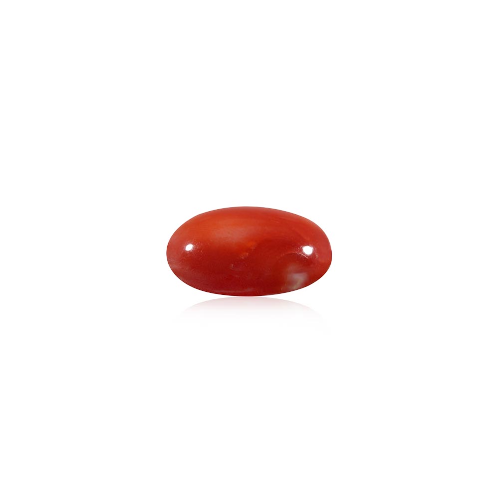 Red Coral - 8.84 Carat
