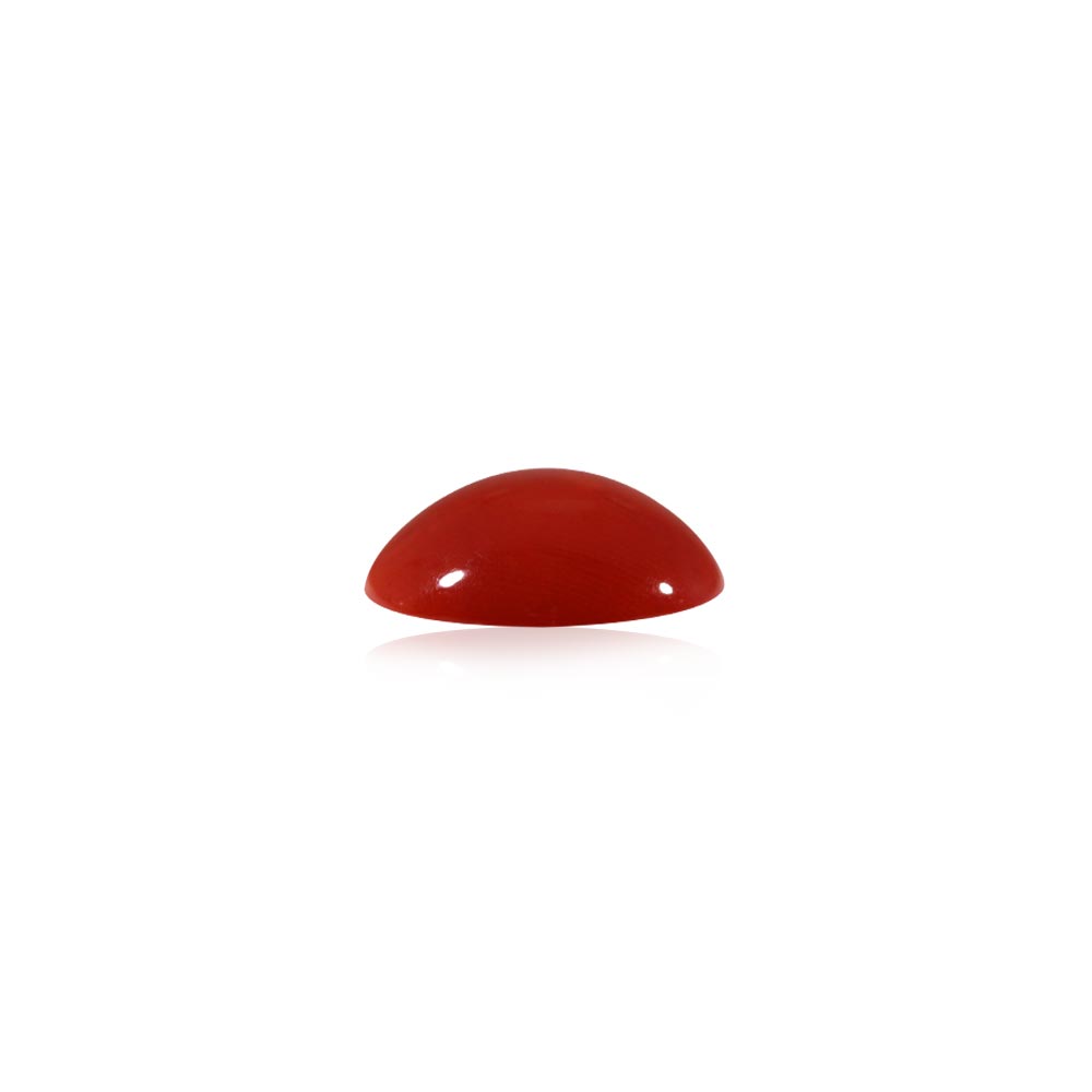Red Coral - 8.86 Carat