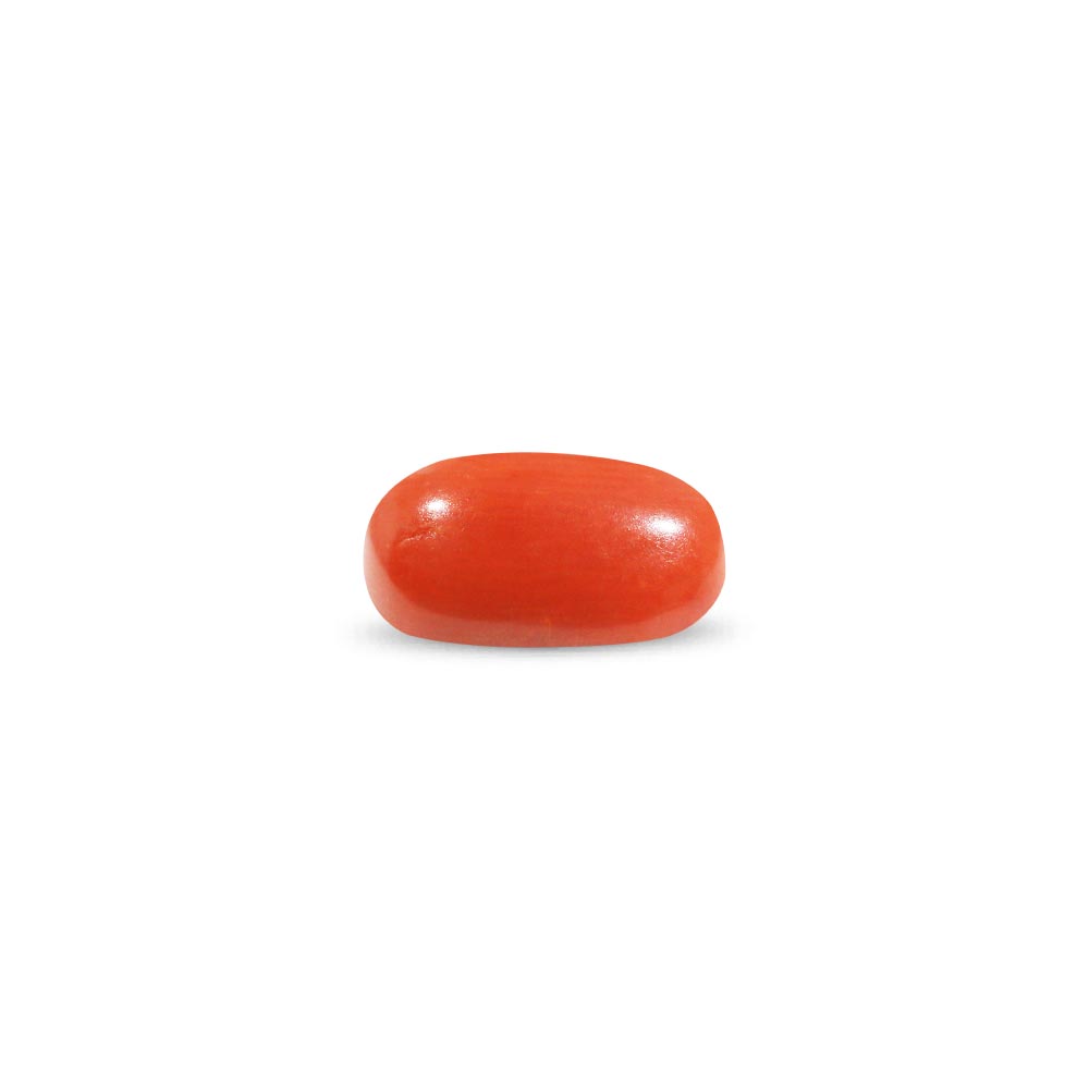 Red Coral - 8.88 Carat